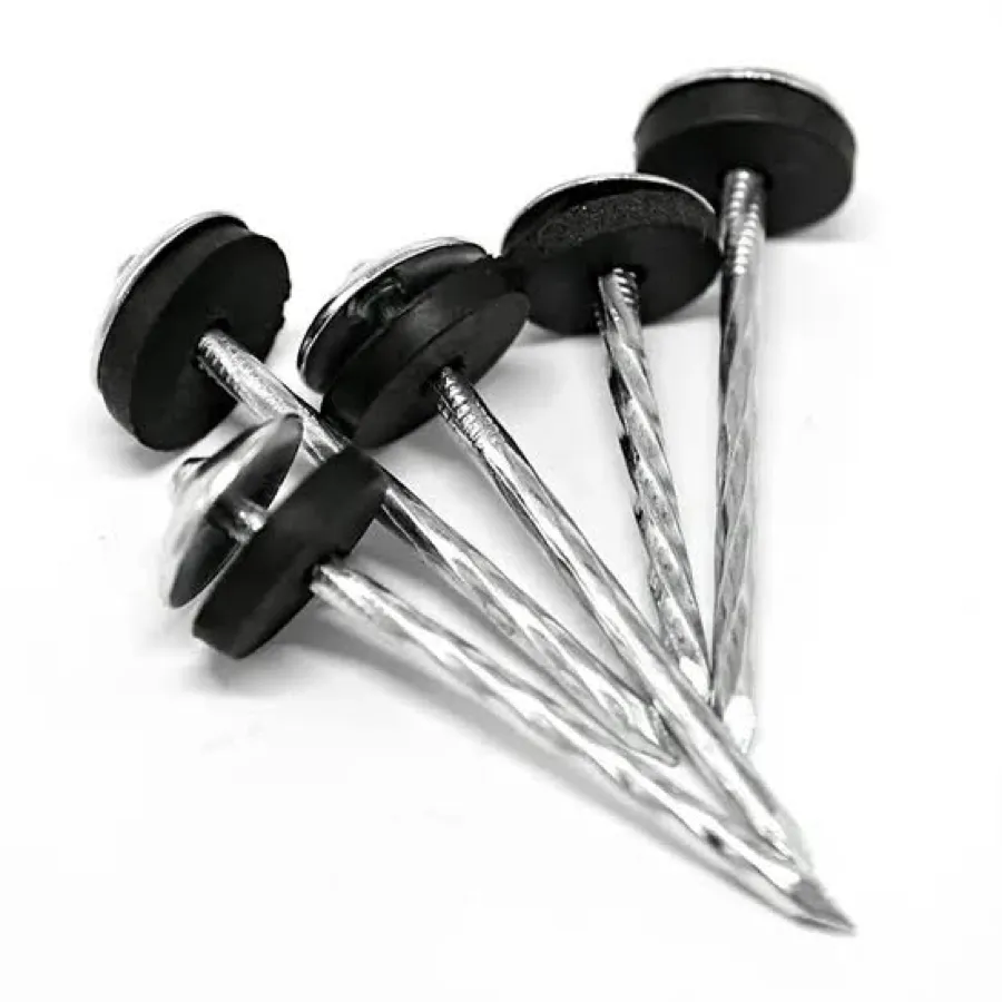 Roofing Nail (box)